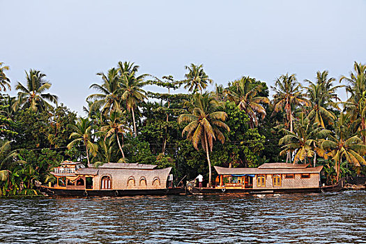 船屋,河岸,河,死水,靠近,喀拉拉,印度,南亚,亚洲