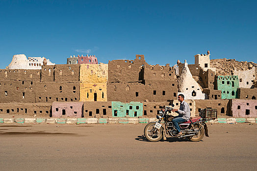 男人,摩托车,模型,老城,巴哈利亚,绿洲,吉萨,埃及,非洲