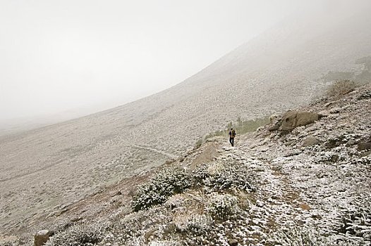男人,背包旅行,雪中,湖,小路,印尤国家森林,加利福尼亚,美国