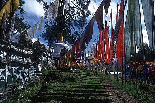 人,锡金,佛教,宗教,寺院,一个,上方,经幡,石刻,特色,印度,2000年