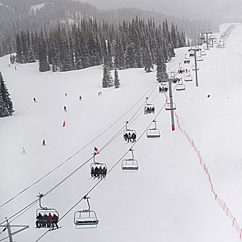 滑雪者,骑,缆车,滑雪胜地,不列颠哥伦比亚省,加拿大