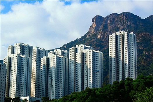 香港,住房,风景,狮子,石头