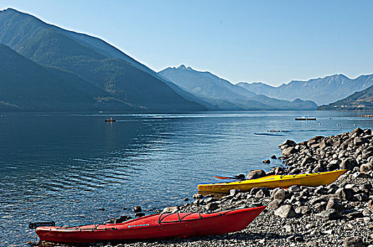 皮划艇,岸边,新,丹佛,不列颠哥伦比亚省,加拿大