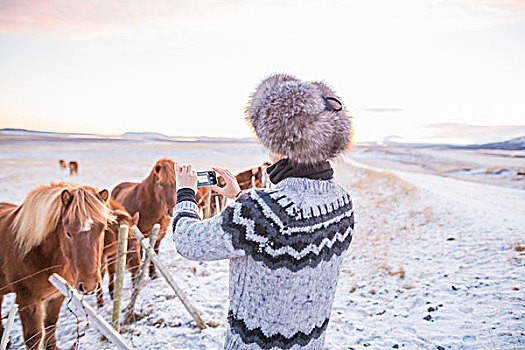 女人,照相,小马,积雪,地点,冰岛