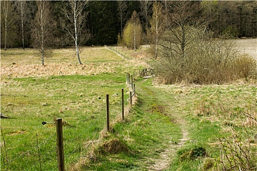 道路,地点,早春