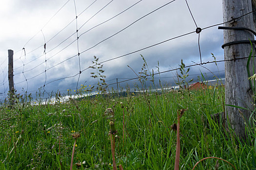 草原上的铁丝围栏