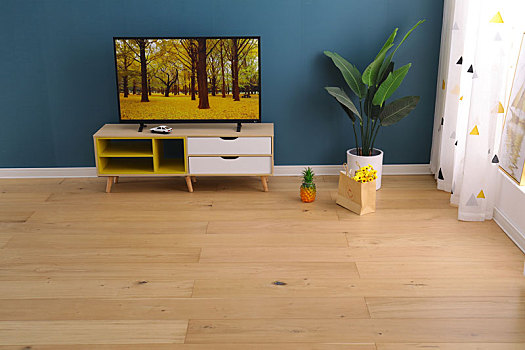 木地板,橡木地板,客厅,家居,家具,实木复合地板,多层实木地板,纯实木地板,强化复合地板,图片,拍摄,摄影