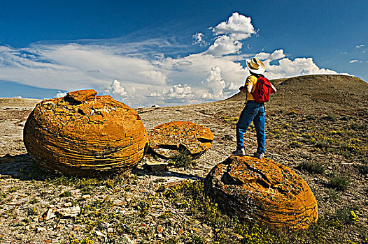 砂岩,红岩,自然,区域,艾伯塔省,加拿大