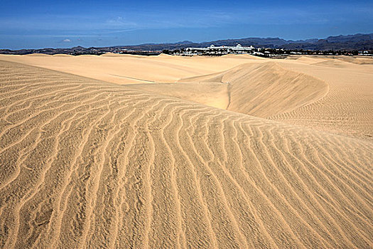 沙丘,建筑,沙子,自然保护区,酒店,后面,大卡纳利岛,加纳利群岛,西班牙,欧洲
