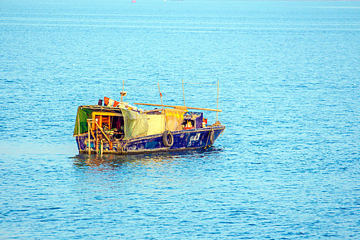 江门银湖湾湿地风光