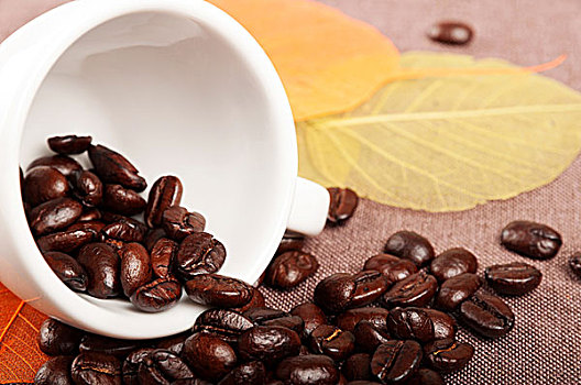 牛奶咖啡,杯子,黄色,秋叶,咖啡豆