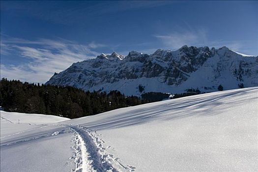 冬天,风景,瑞士,欧洲