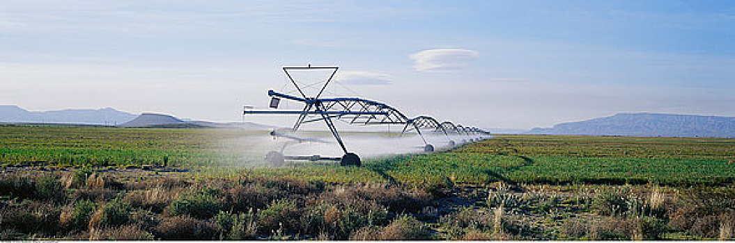 灌溉,农田,德克萨斯,美国