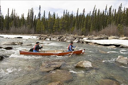 独木舟浆手,河,白浪,急流,育空地区,加拿大