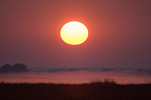 日出,国家公园,赞比亚