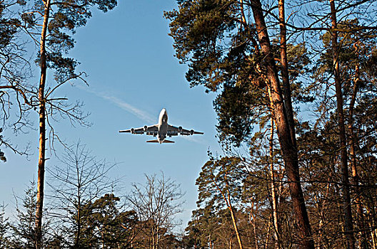 汉莎航空公司,波音,747-400,接近,陆地,上方,城市,树林,法兰克福,黑森州,德国,欧洲