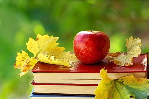 苹果,叶子,书本