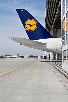汉莎航空公司,空中客车,维护,飞机库,慕尼黑,机场,上巴伐利亚,巴伐利亚,德国,欧洲
