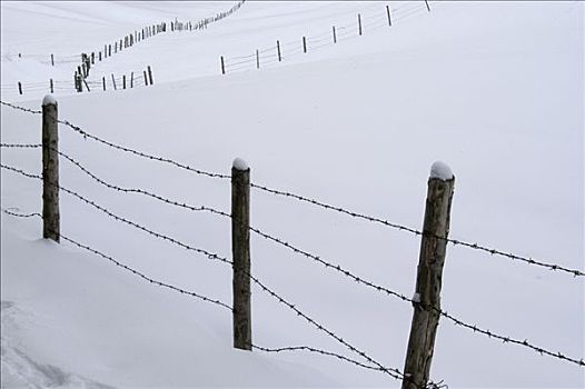 刺铁丝网,围栏,大雪,巴伐利亚,德国