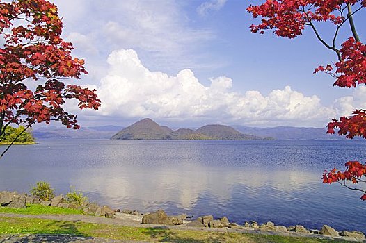 湖,彩色,枫树