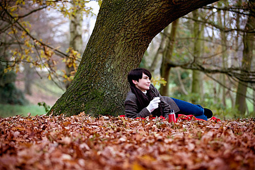 坐,女人,树,拿着,热饮,秋天