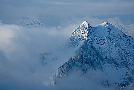 风景,山,冬天,巴伐利亚阿尔卑斯山,巴伐利亚,德国
