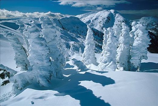 冬季风景,岛屿,东南阿拉斯加,冬天,景色