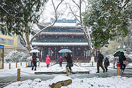 雪景