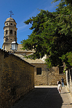 大教堂,16世纪,巴埃萨,哈恩省,安达卢西亚,西班牙,欧洲