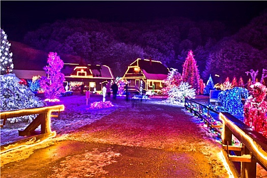 乡村,彩色,圣诞灯光
