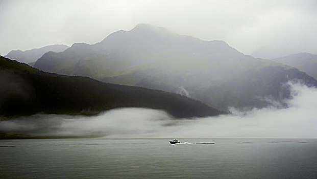 渔船,室外,早,晨雾,湾,阿拉斯加