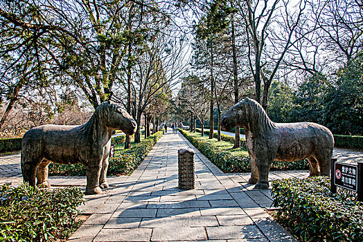 江苏南京钟山明孝陵石象路神道