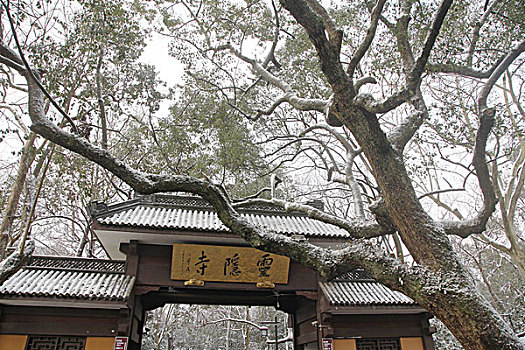 杭州,西湖,建筑,灵隐寺,寺庙,雪,宗教,佛教,僧人,塑像,信仰,文化,旅游,飞来峰