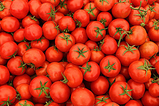 西红柿,市场货摊,农贸市场,穆拉,省,爱琴海,区域,土耳其,亚洲