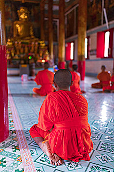 湄公河三角洲,南方,越南,高棉人,僧侣,祈祷,寺庙