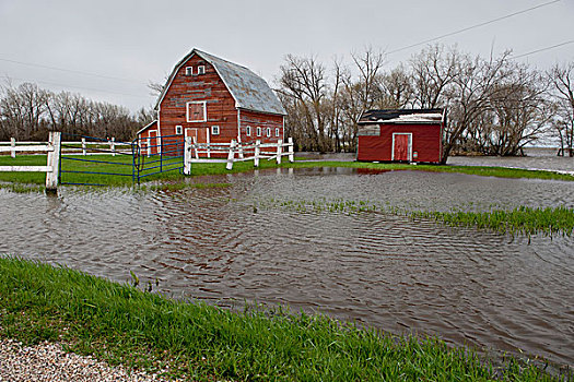 小屋,围绕,水,洪水,曼尼托巴,加拿大