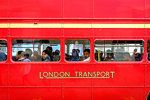 巴士,运输,伦敦,英格兰,英国