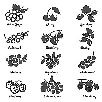 浆果,象征,樱桃,葡萄,醋栗,野玫瑰果,剪影,隔绝,矢量,插画