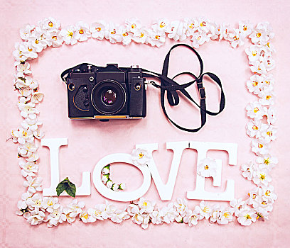 爱情,文字,模拟,摄影,花,粉色背景