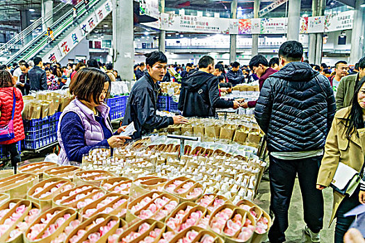 昆明斗南花市夜市