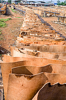 木材加工厂里晾晒的加工的板材板皮