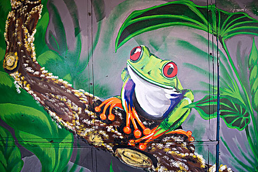 涂鸦,青蛙,雨林,圣荷塞,市区,省,哥斯达黎加,北美