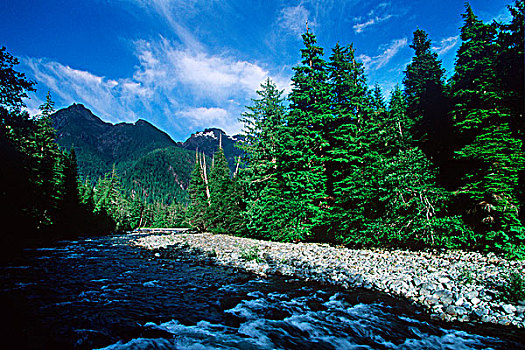 河,温哥华岛,不列颠哥伦比亚省,加拿大