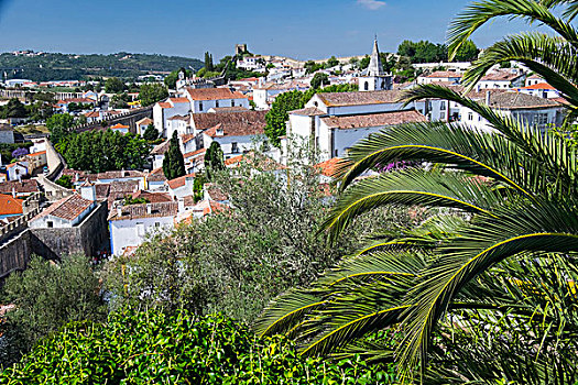 葡萄牙,奥比都斯,古城,墙壁,中世纪,建筑,历史