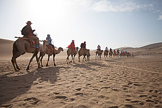 沙漠旅游驼队