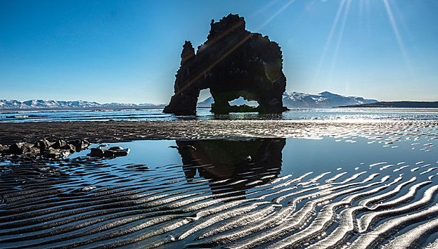 大象,石头,反射,火山岩,海滩,玄武岩,阳光,北方,冰岛,欧洲