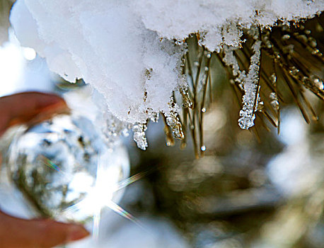水晶球映射美丽的冬季雪景