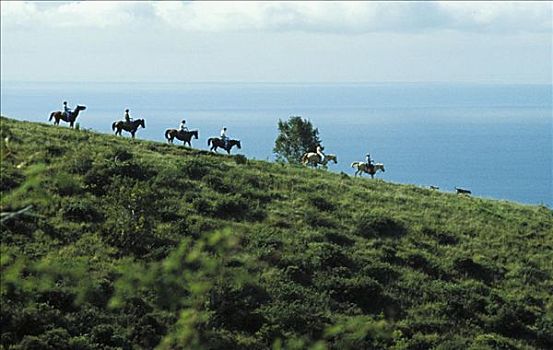 夏威夷,毛伊岛,骑手,山脊,山,远眺,海洋