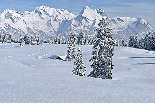 雪盖,山谷