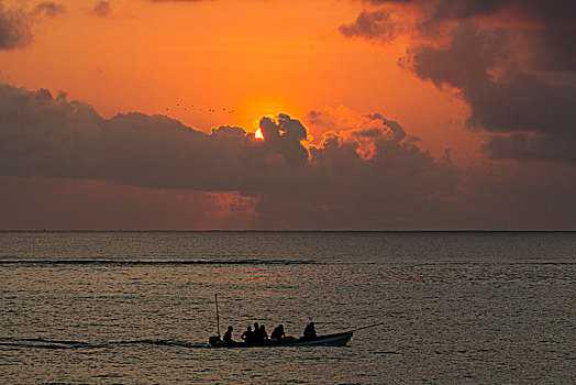 海景,剪影,渔船,日落,桑给巴尔岛,坦桑尼亚,非洲